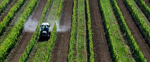 Image Tracteur Traitement