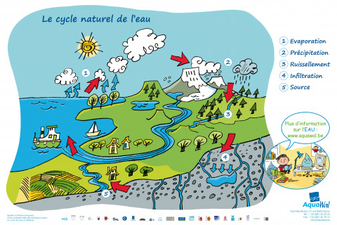 Cycle de l'eau