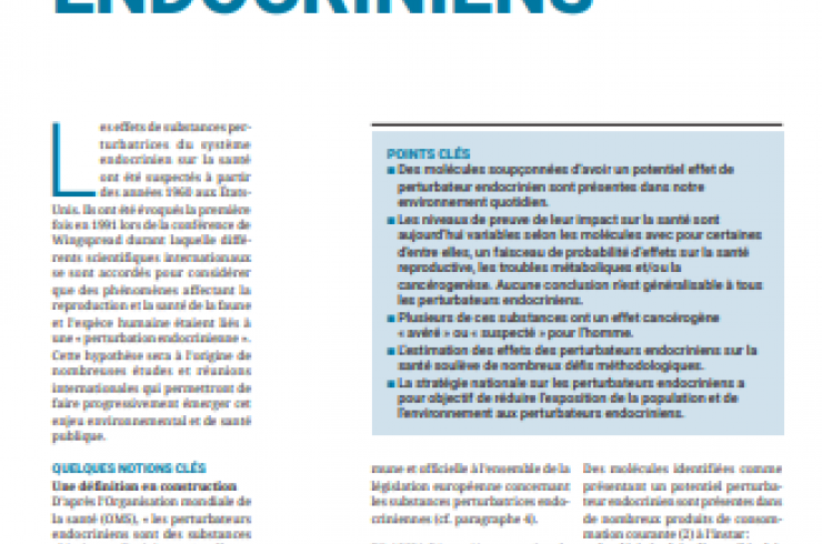 Perturbateurs endocriniens
