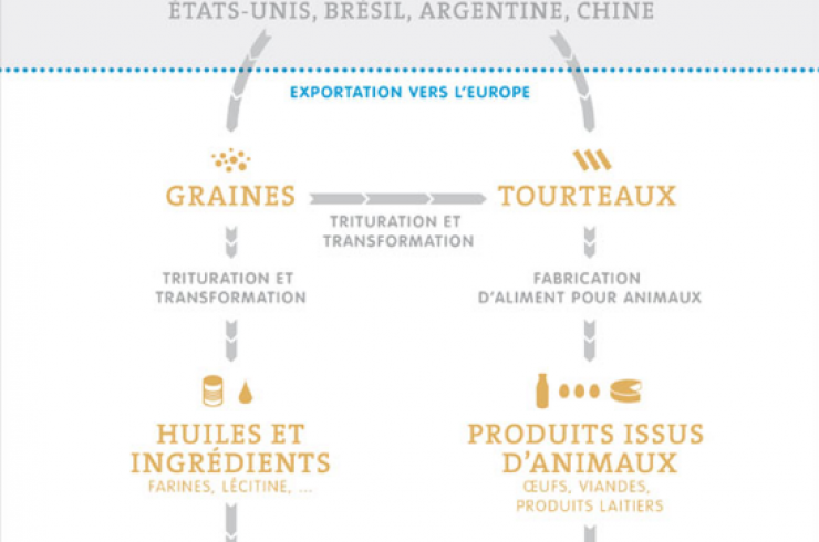 Réglementation OGM