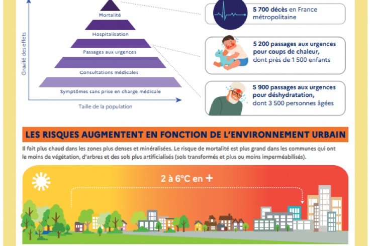 Mieux vivre avec la chaleur en ville