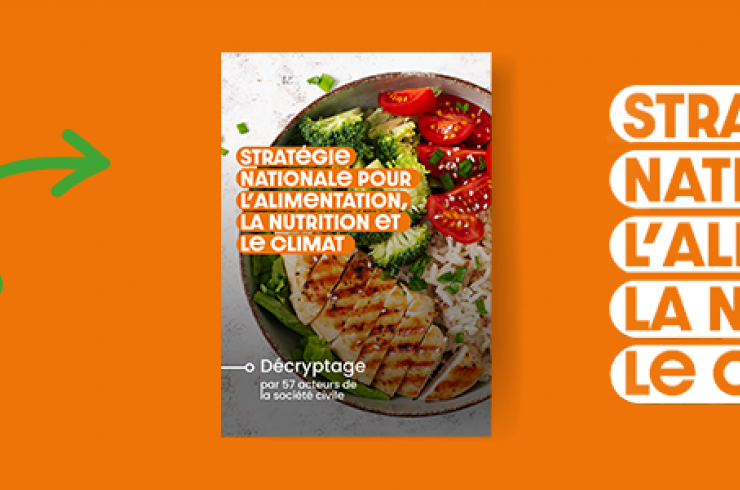 Stratégie nationale pour l'alimentation, la nutrition et le climat