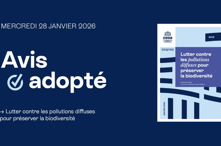 Lutter contre pollutions diffuses