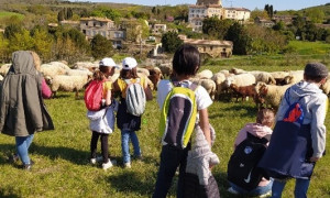 Visite à la ferme avec les élèves 2