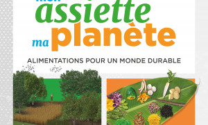 ASSIETTE PLANETE